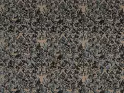 Thumb_2767_64_1