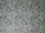 Thumb_2767_73_1