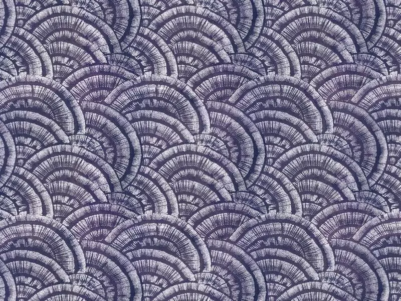 Big_2769_42_1