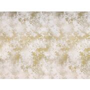 Thumb_2772_21_1