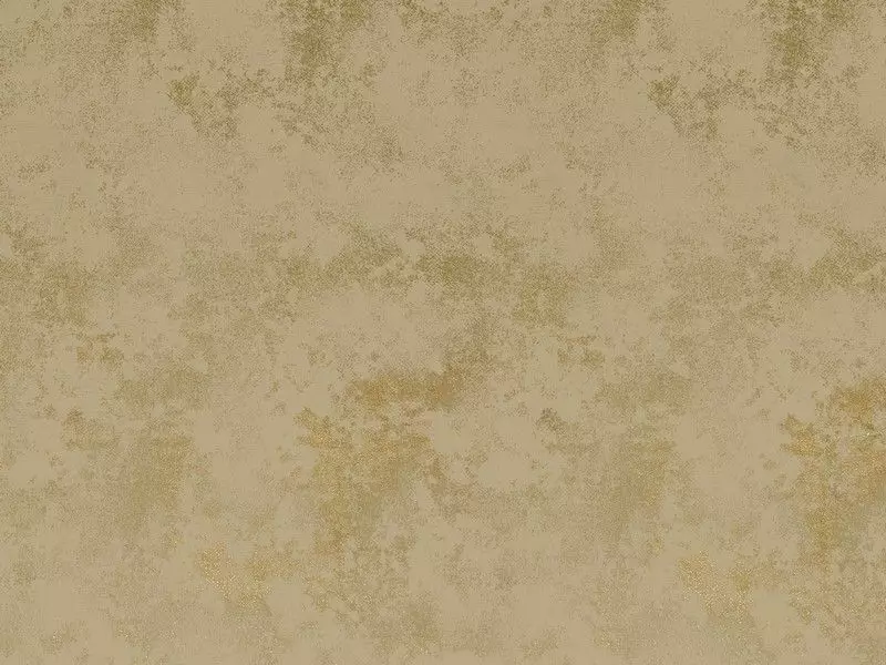 Big_2772_24_1