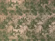 Thumb_2772_51_1