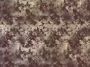 Thumb_2772_80_1