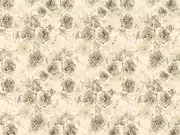 Thumb_239_31_1