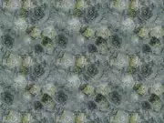Thumb_239_60_1