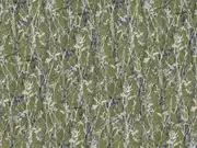 Thumb_240_50_1