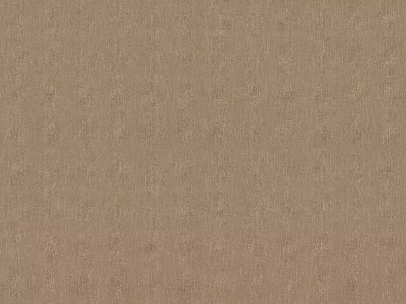 Big_243_29_1