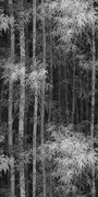 Thumb_art6_011_1