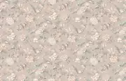 Thumb_ru3_002_1