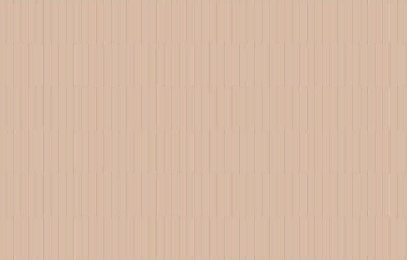 Big_ritm_liniy_ja5_003_1