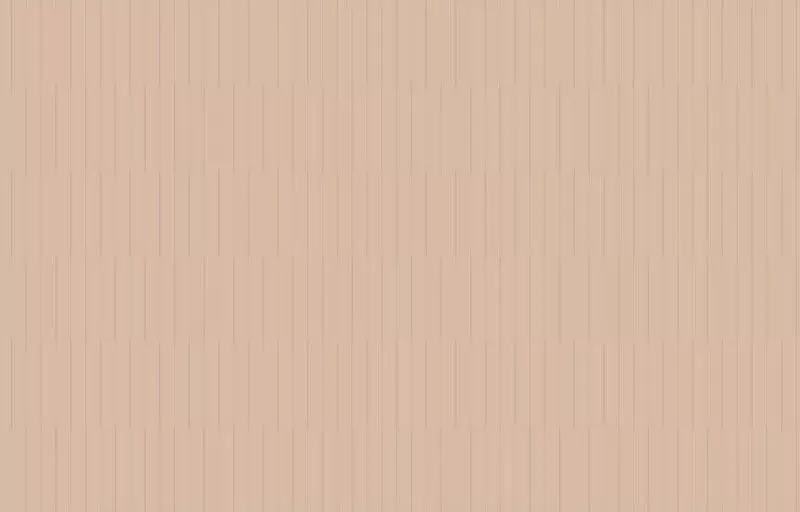 Big_ritm_liniy_ja5_003_1