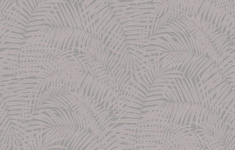 Big_yaponskaya_palma_ja7_001_1