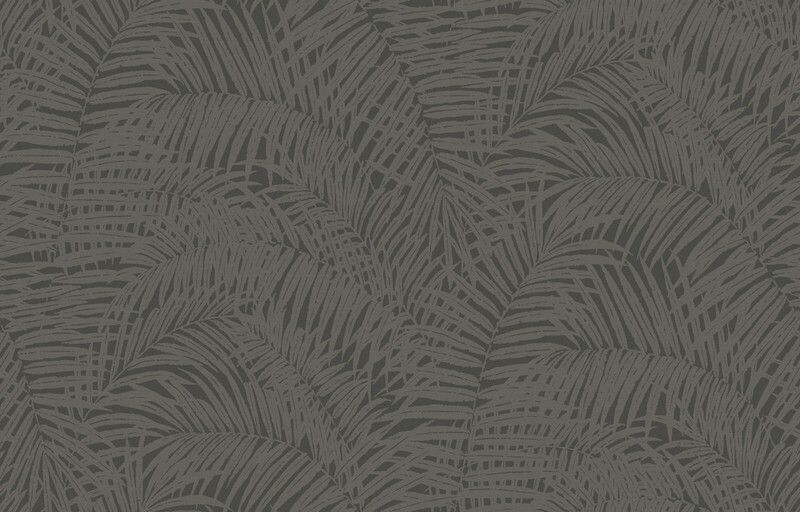 Big_yaponskaya_palma_ja7_012_1