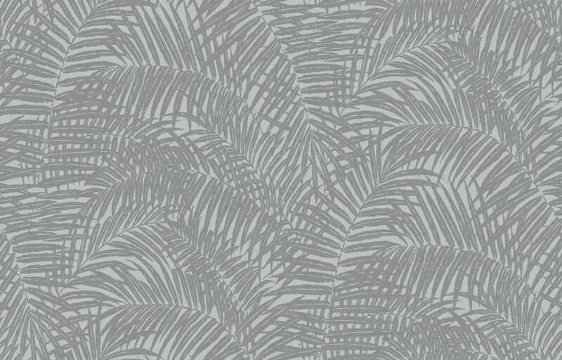 Big_yaponskaya_palma_ja7_005_1