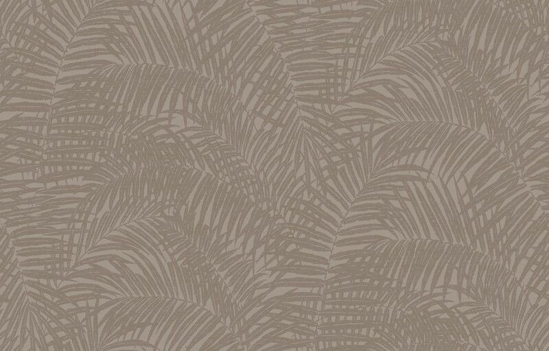 Big_yaponskaya_palma_ja7_002_4_1