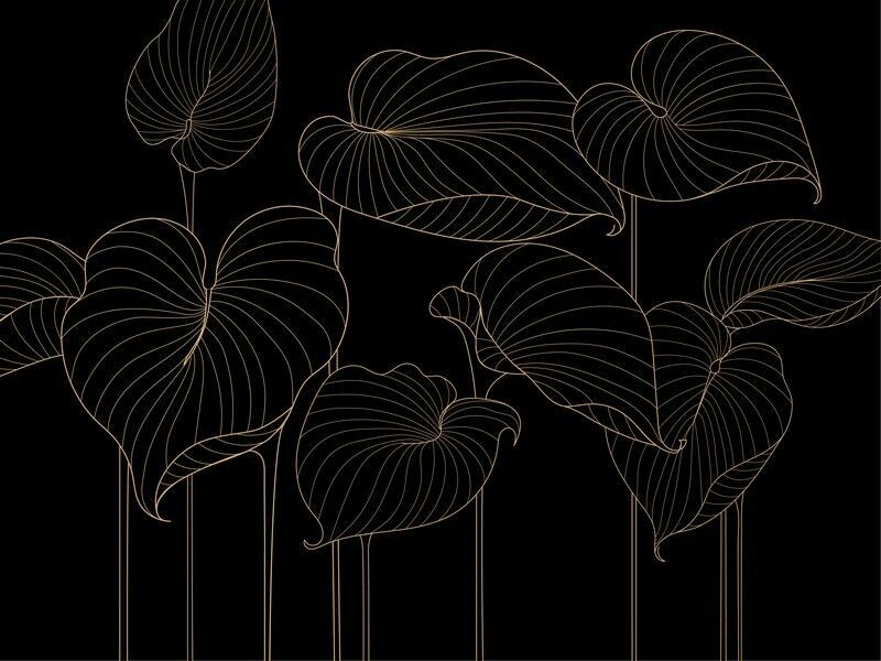 Big_324721_hosta_smooth_1