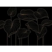 Thumb_324721_hosta_smooth_1