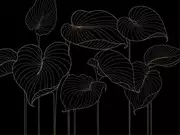 Thumb_324721_hosta_smooth_1