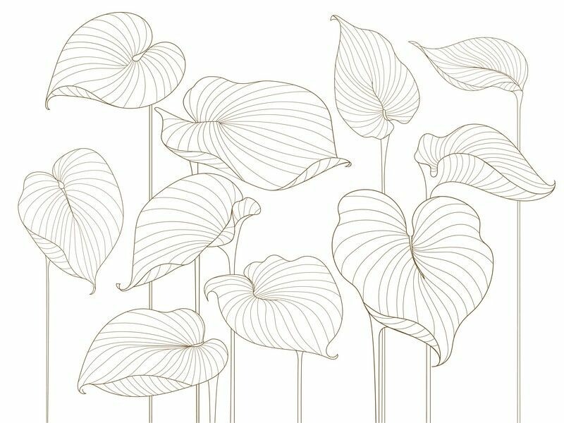 Big_324764_hosta_smooth_1