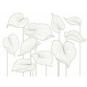 Thumb_324764_hosta_smooth_1