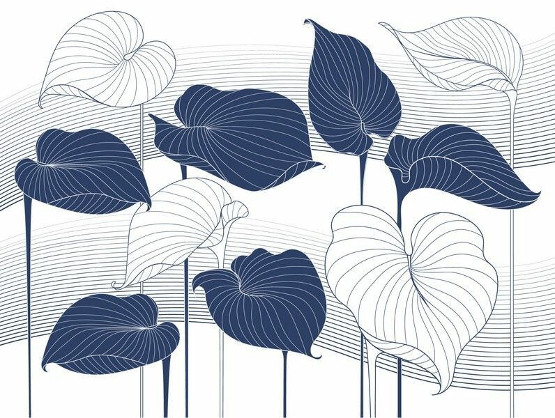 Big_324783_hosta_smooth_1