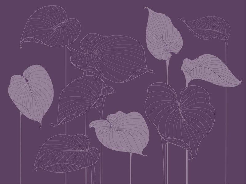 Big_324789_hosta_smooth_1