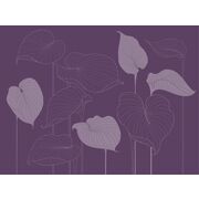 Thumb_324789_hosta_smooth_1