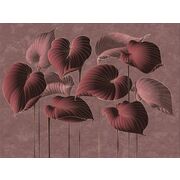 Thumb_324790_hosta_smooth_1