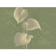 Thumb_324797_hosta_smooth_1