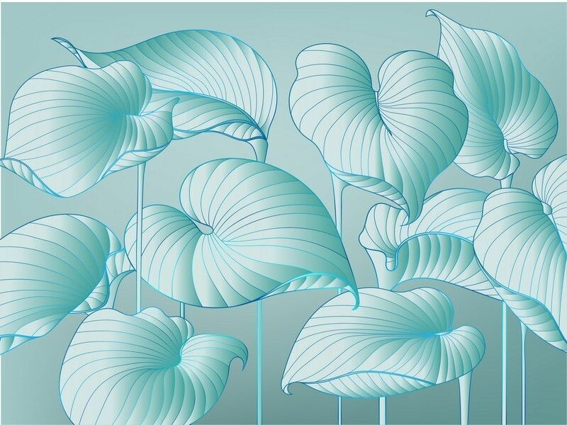 Big_324798_hosta_smooth_1