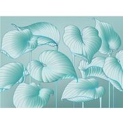 Thumb_324798_hosta_smooth_1