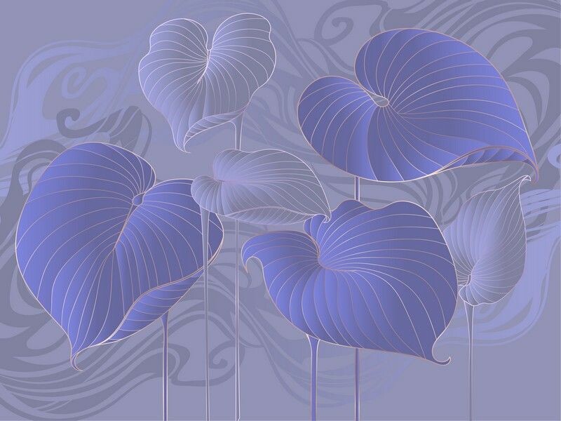 Big_324803_hosta_smooth_1