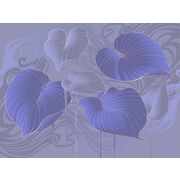 Thumb_324803_hosta_smooth_1