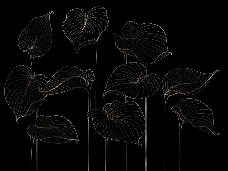 Big_324804_hosta_smooth_1