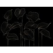 Thumb_324804_hosta_smooth_1