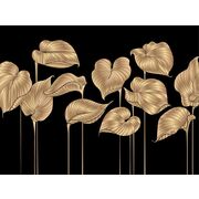 Thumb_324806_hosta_smooth_1