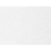 Thumb_324798_hosta_latte_1