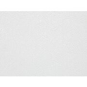 Thumb_324790_hosta_salento_1