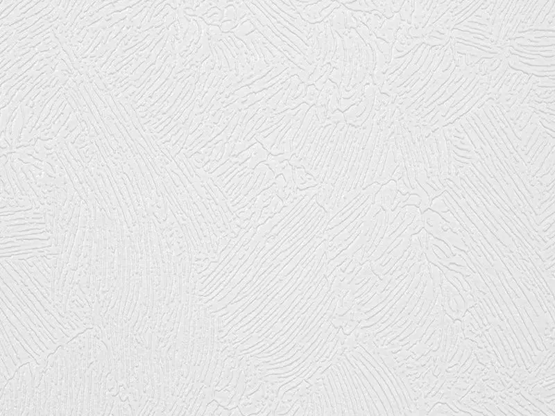 Big_324806_hosta_salento_1