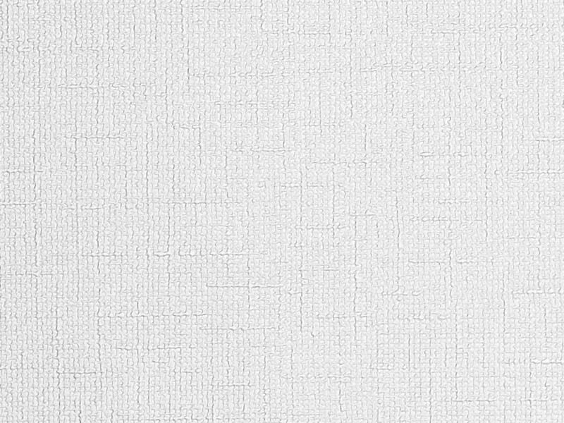 Big_324806_hosta_veneciano_1