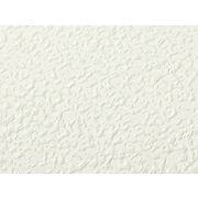 Thumb_324803_hosta_sand_1