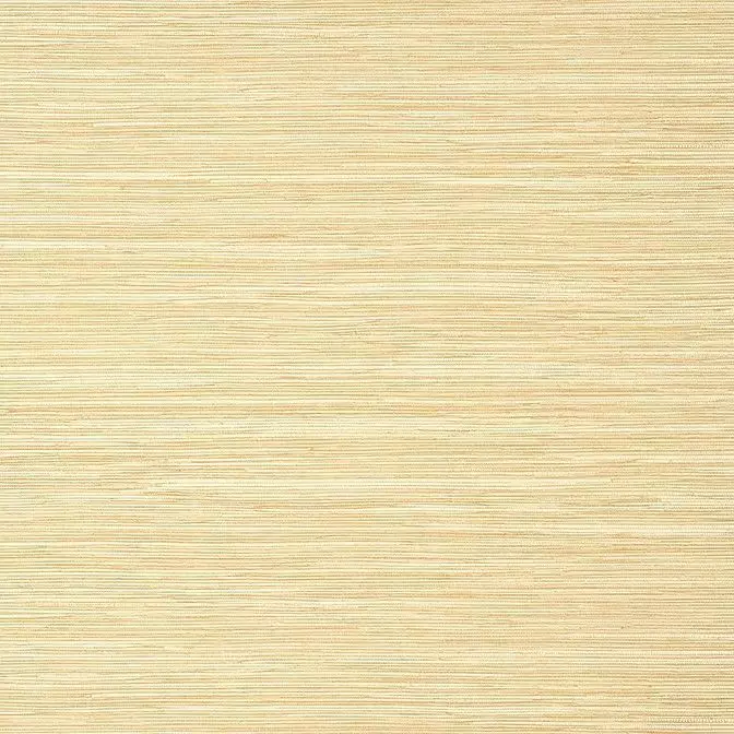 Big_t14548_1