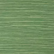 Thumb_tww14558_1