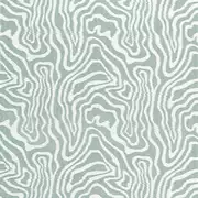 Thumb_w713605_1