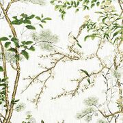 Thumb_f913621_1