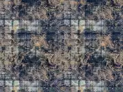 Thumb_2753_51_1