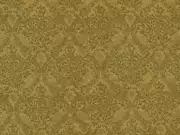 Thumb_2754_22_1