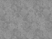 Thumb_2758_61_1