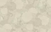 Thumb_kts6_002_1