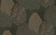 Thumb_lun6_005_1